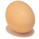 Chicken_Egg.jpg