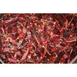 Dried_Chile_Peppers.jpg