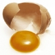 Egg_yolk.jpg