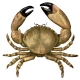 Stone_crab.jpg