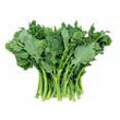 broccoli_raab.jpg