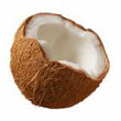 coconut.jpg