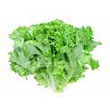 green-leaf_lettuce.jpg