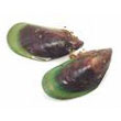 green_mussel.jpg