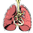 lung.jpg
